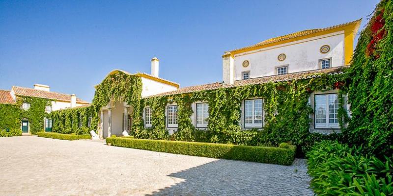Casa_da_Rosa_2.thumb.jpg.661d0ed29594aed