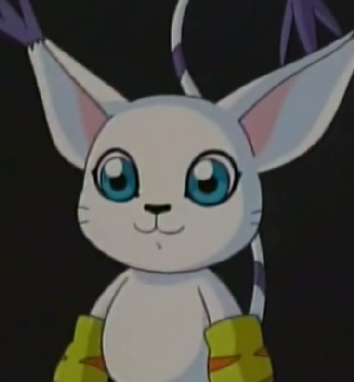 gatomon.thumb.png.7f1f8ab6fed2bae9d5d713