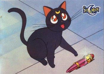 luna.thumb.jpg.732e9bdb33e9e6c3e1b2362d0