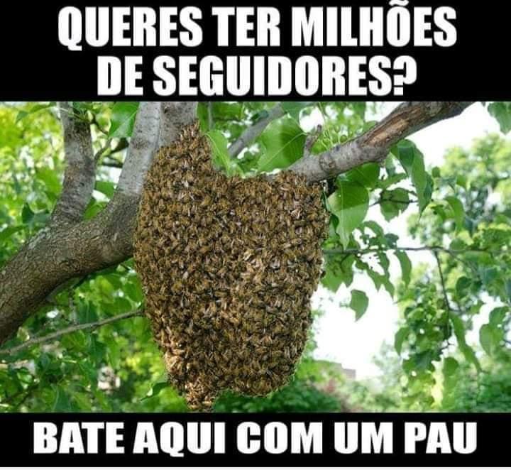 FB_IMG_1547150538708.jpg