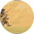 Bertrand2.gif